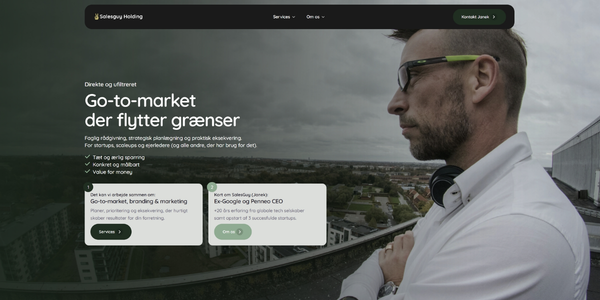 Salesguy Holdings website