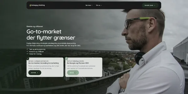 Hjemmeside lavet af Moneyweb til Salesguy Holdings